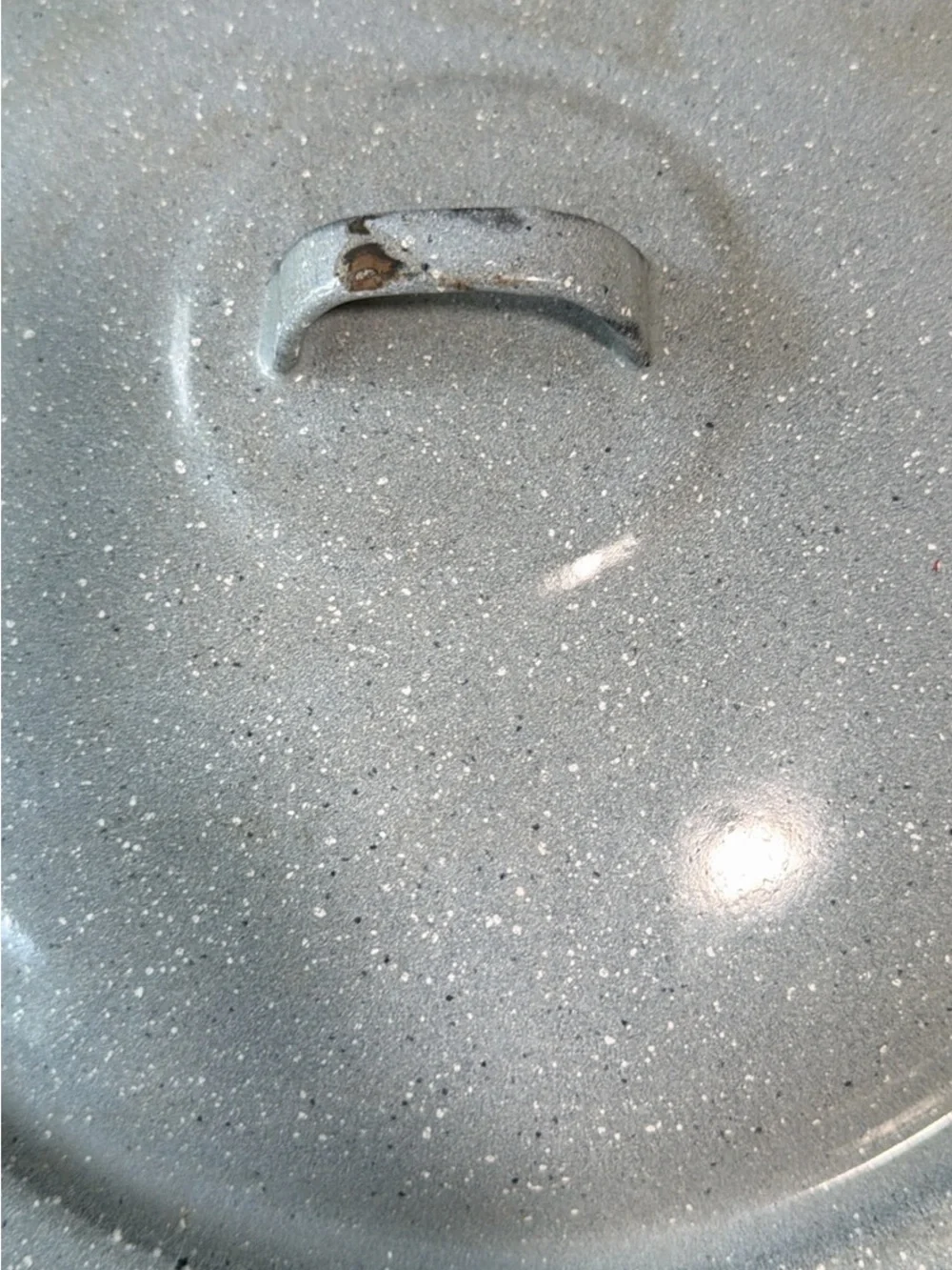 Blue Speckled Goose Enamel Stockpot with Lid - Blue